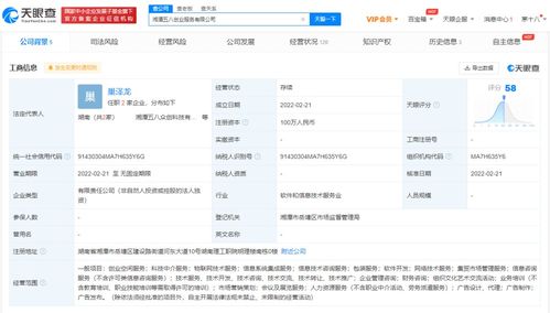 信息系統(tǒng)集成服務(wù)的核心價(jià)值與未來發(fā)展趨勢(shì)